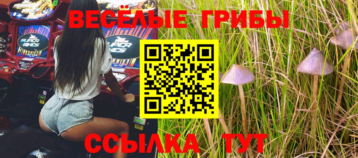Псилоцибиновые грибы Psilocybe  купить   Георгиевск  Вход с VPN  Галлюциногенные грибы ЛСД 