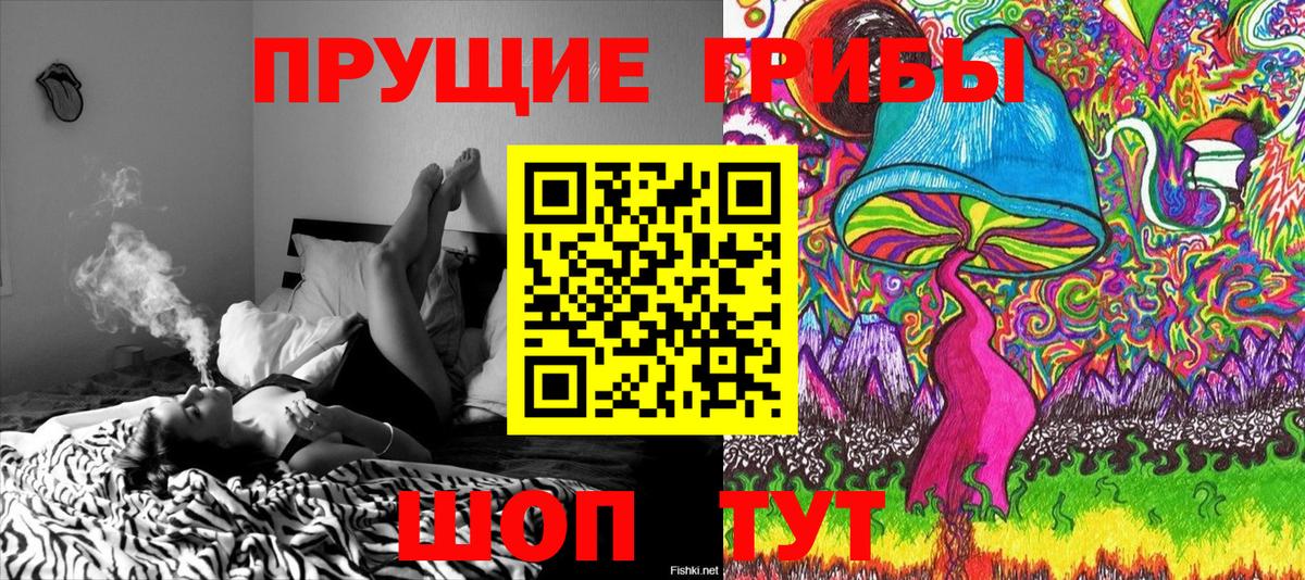 Галлюциногенные грибы ЛСД Георгиевск