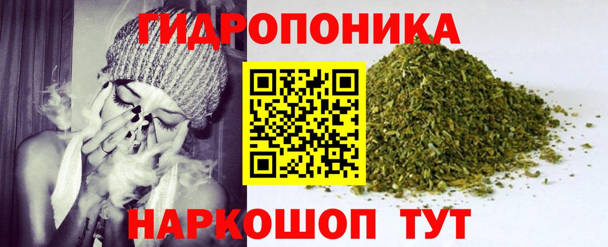 Бошки марихуана гибрид  Канабис ГИДРОПОН  Канабис индика  Марихуана марихуана  Вход с VPN  Георгиевск 